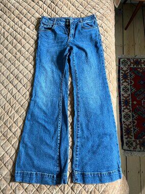 Anthropologie PILCRO Retro High-rise Flare Jeans Size: 29